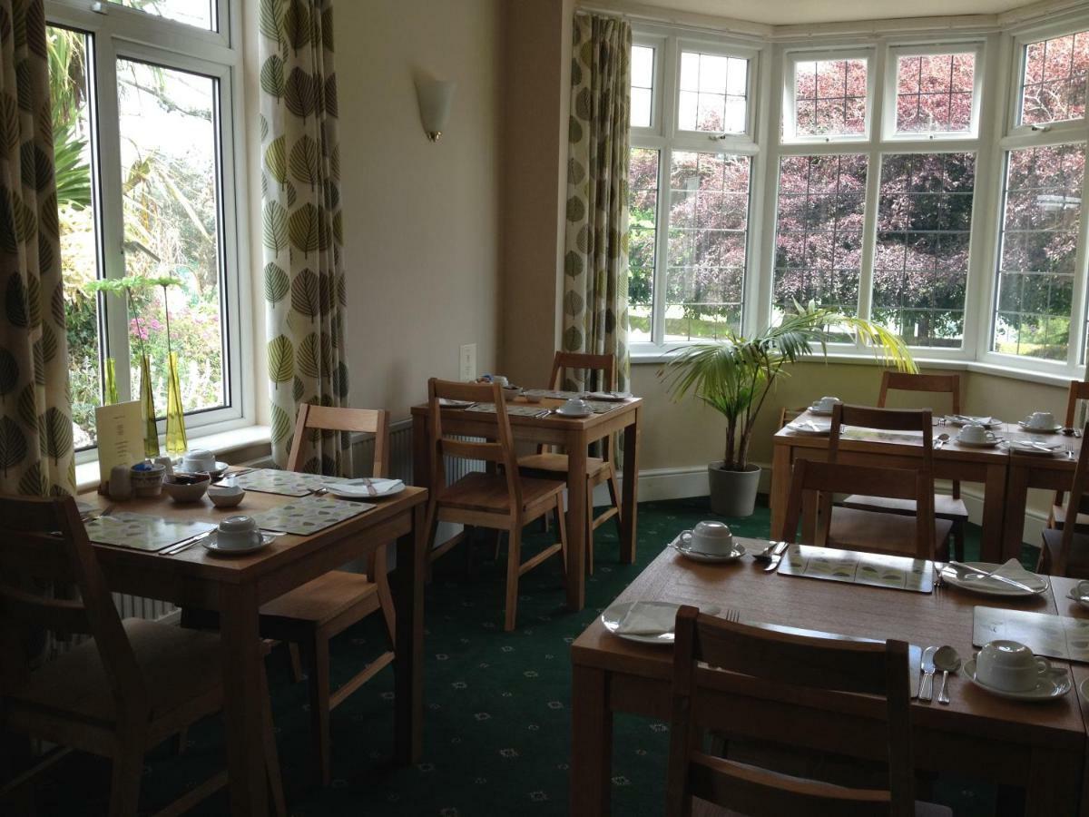 Copper Beech Rooms New Quay Екстериор снимка